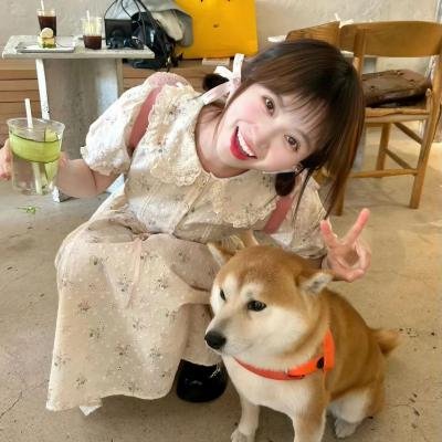 跳跳羊